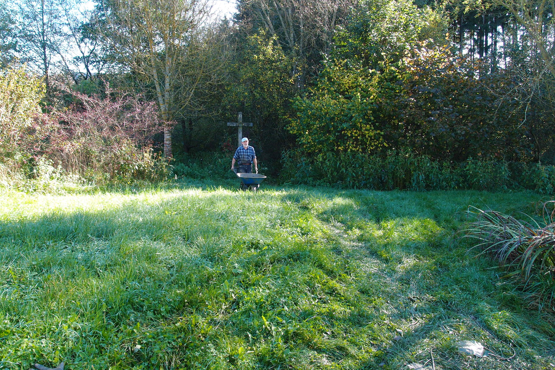 Galeriebild: PA183123